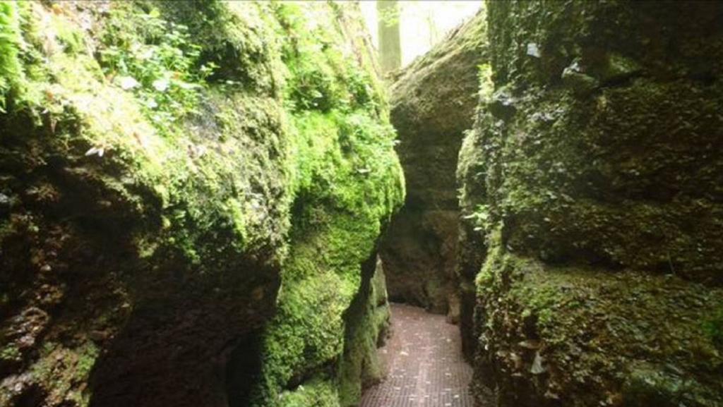 Beletage Daire Eisenach Dış mekan fotoğraf