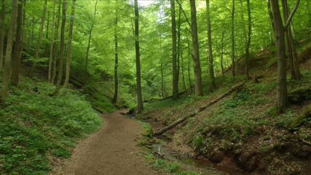 Beletage Daire Eisenach Dış mekan fotoğraf